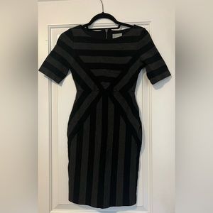 Anthropologie Fitted Dress